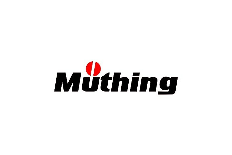 Müthing