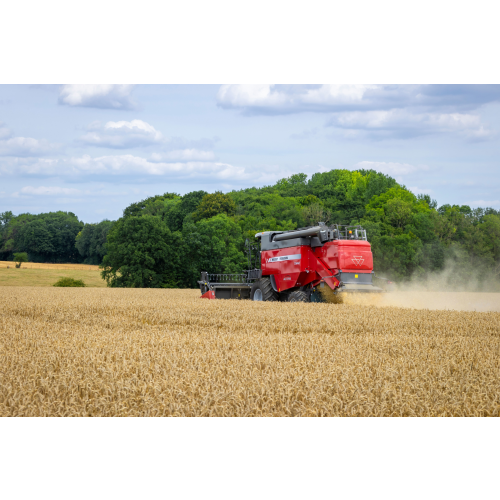 Kombajn Massey Ferguson Activa