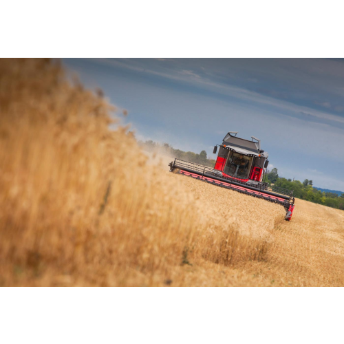 Kombajn Massey Ferguson BETA