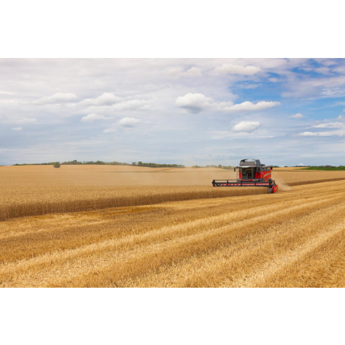 Kombajn Massey Ferguson BETA