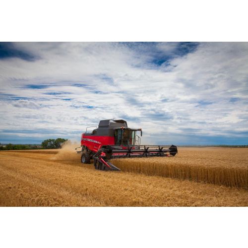 Kombajn Massey Ferguson BETA