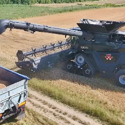 Kombajn Massey Ferguson sklízí obilí na souběžný přívěs